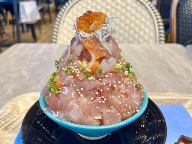【行列必至の人気店・小田原海鮮とと丸食堂】映える海鮮頂上丼！濃厚魚介だしは絶対味わいたいうまさ
